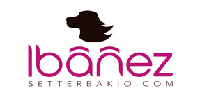 Setterbakio