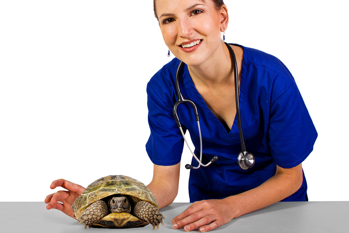 Técnico en reptiles