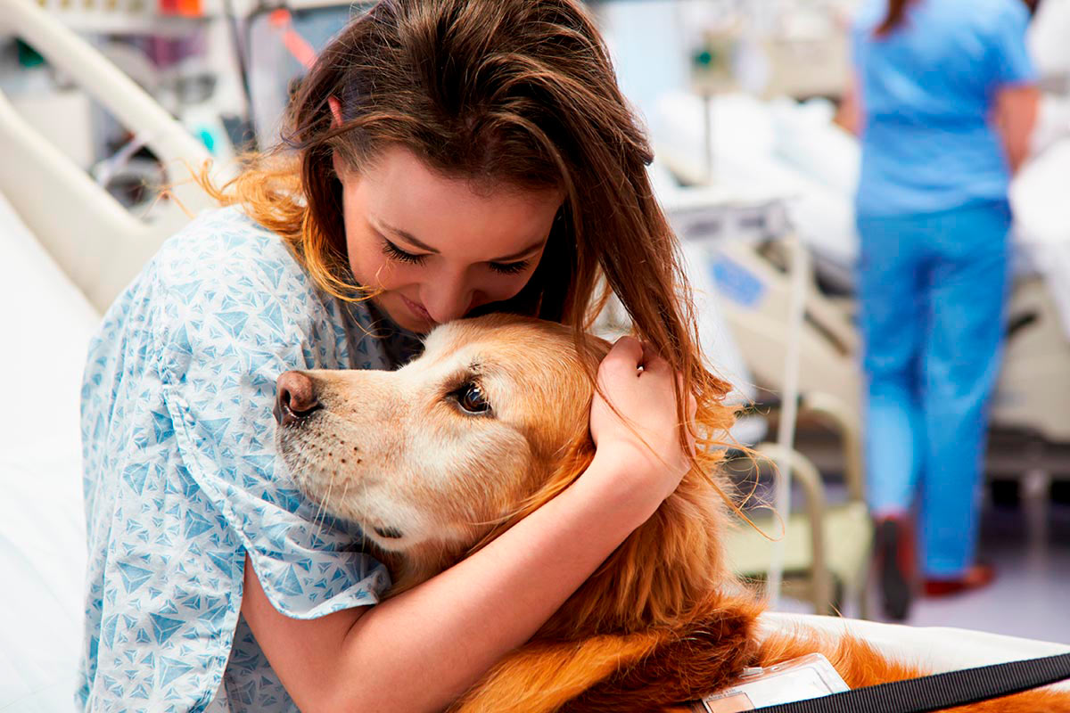 Técnico en Terapia Asistida con Animales