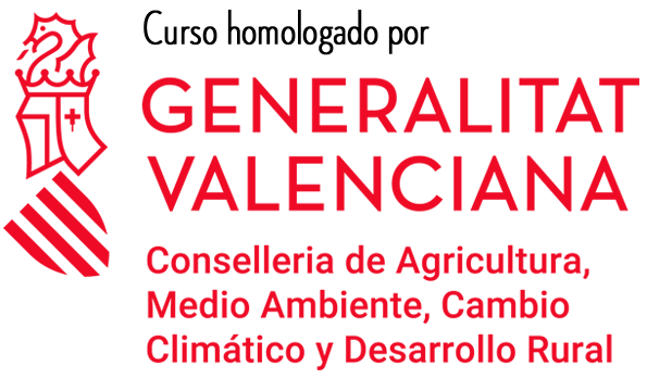 Curso homologado por la Generalitat